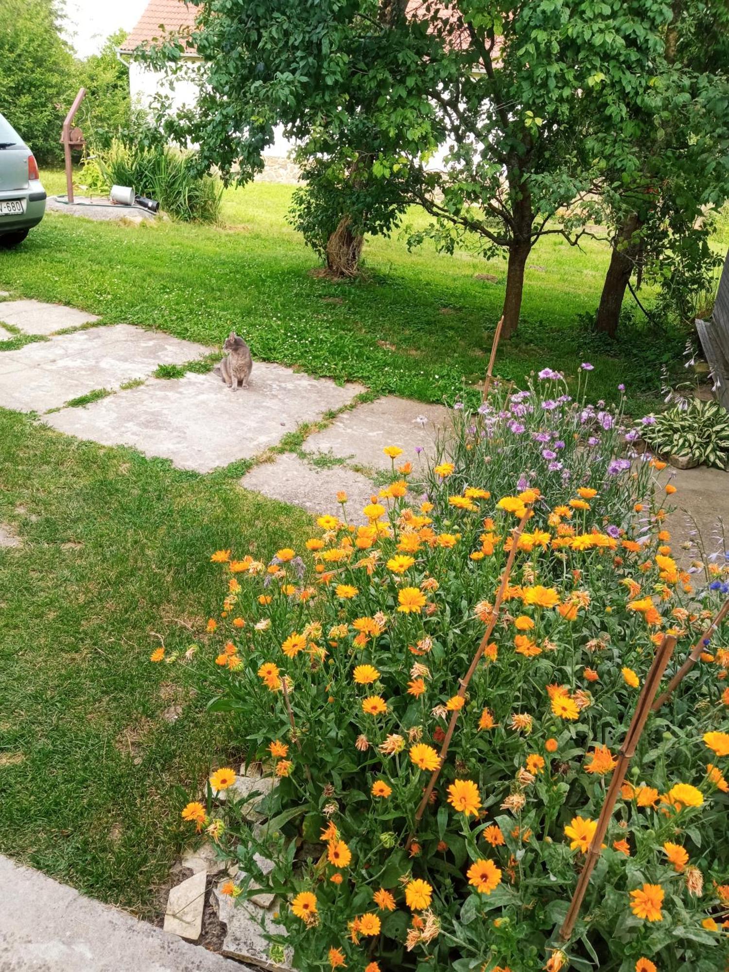Lovas Vendégház Obanya Exterior foto
